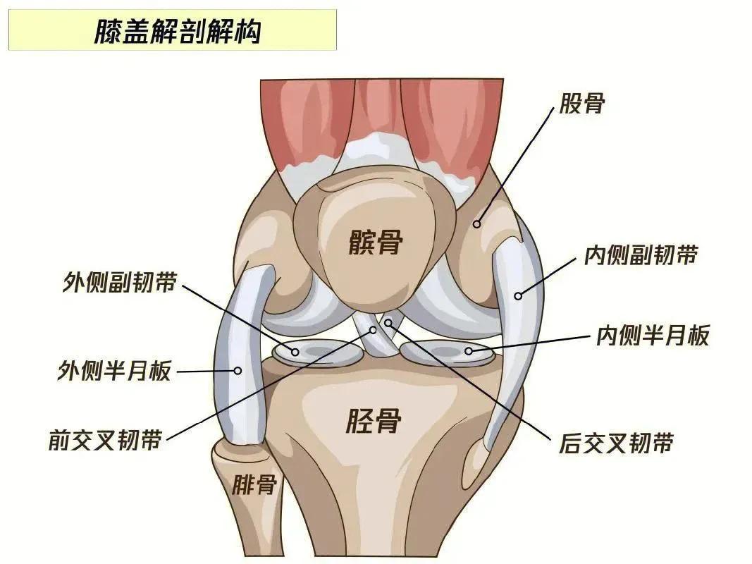 为什么！[发怒]
现代人，膝盖疼的很多！

人的寿命明显延长，身上每个零件也随之