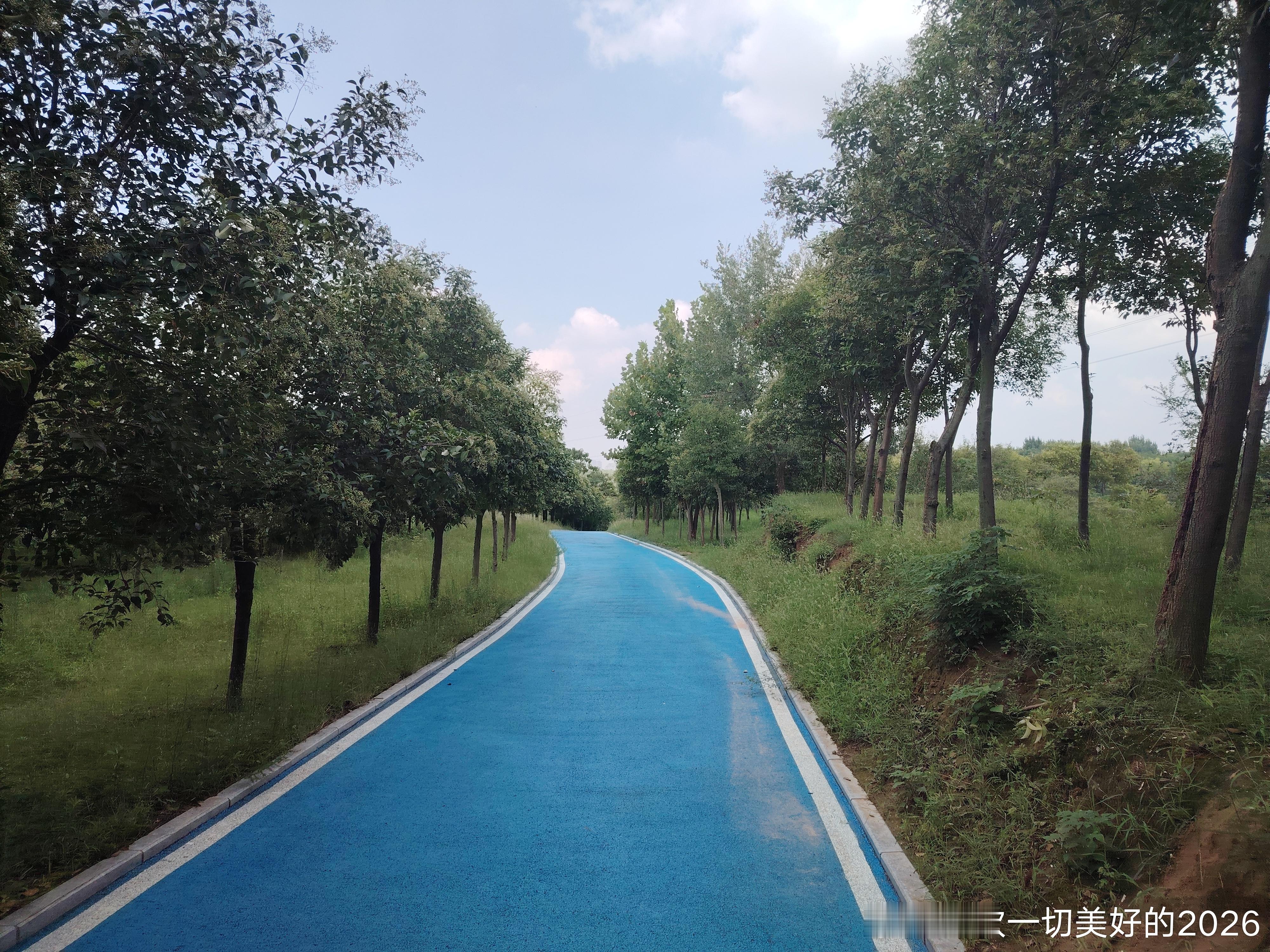 跑林六公里 