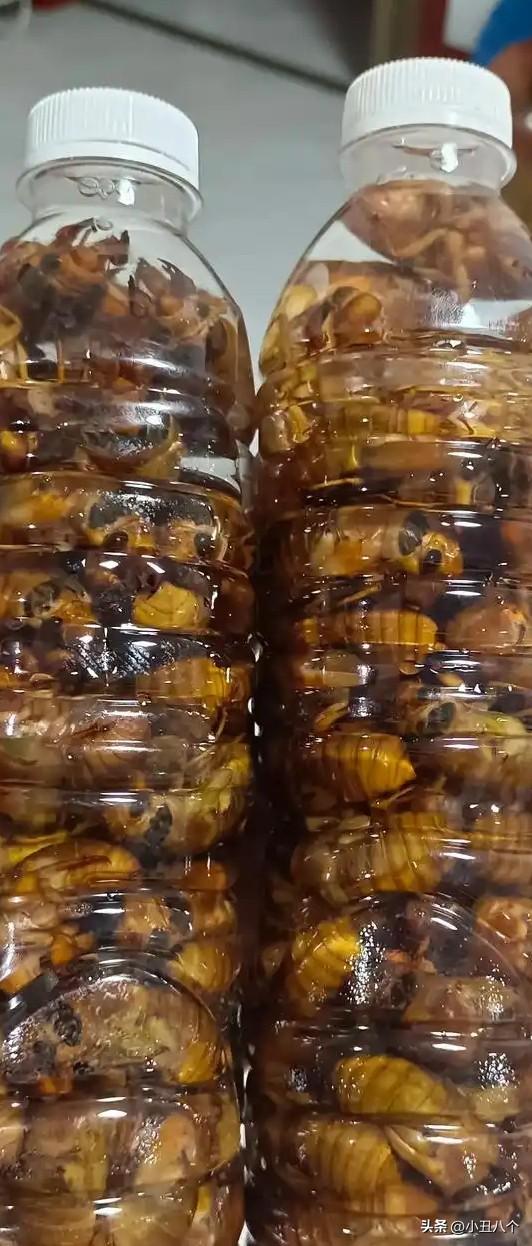 在市场看见人家给卖肉的送了几瓶东西，矿泉水瓶装的，一共三瓶，老板直接递也过去一百