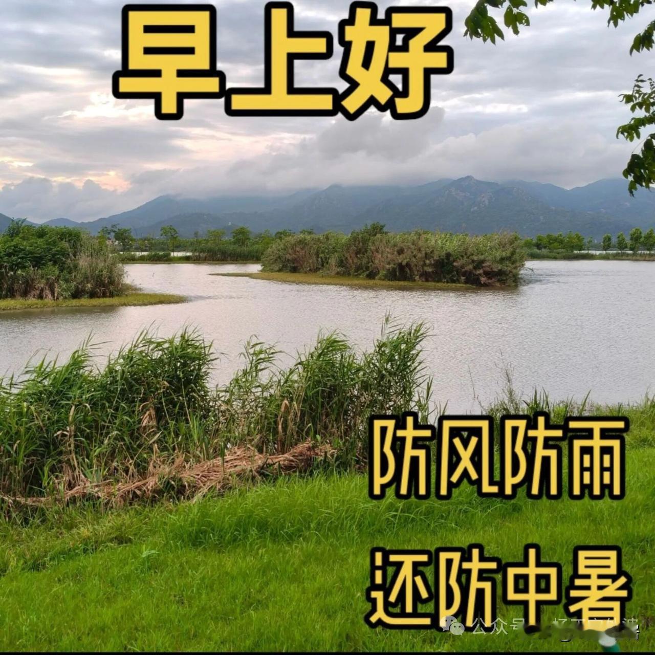 我在沈阳，昨天到现在，一直在下雨，雨势挺大，昨天据说是暴雨级别。
看新闻，台风从