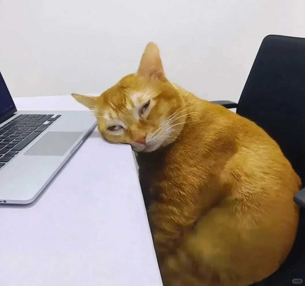 我就这样在工位很呆萌很懵逼的迎接2026：打工人精神状态大赏