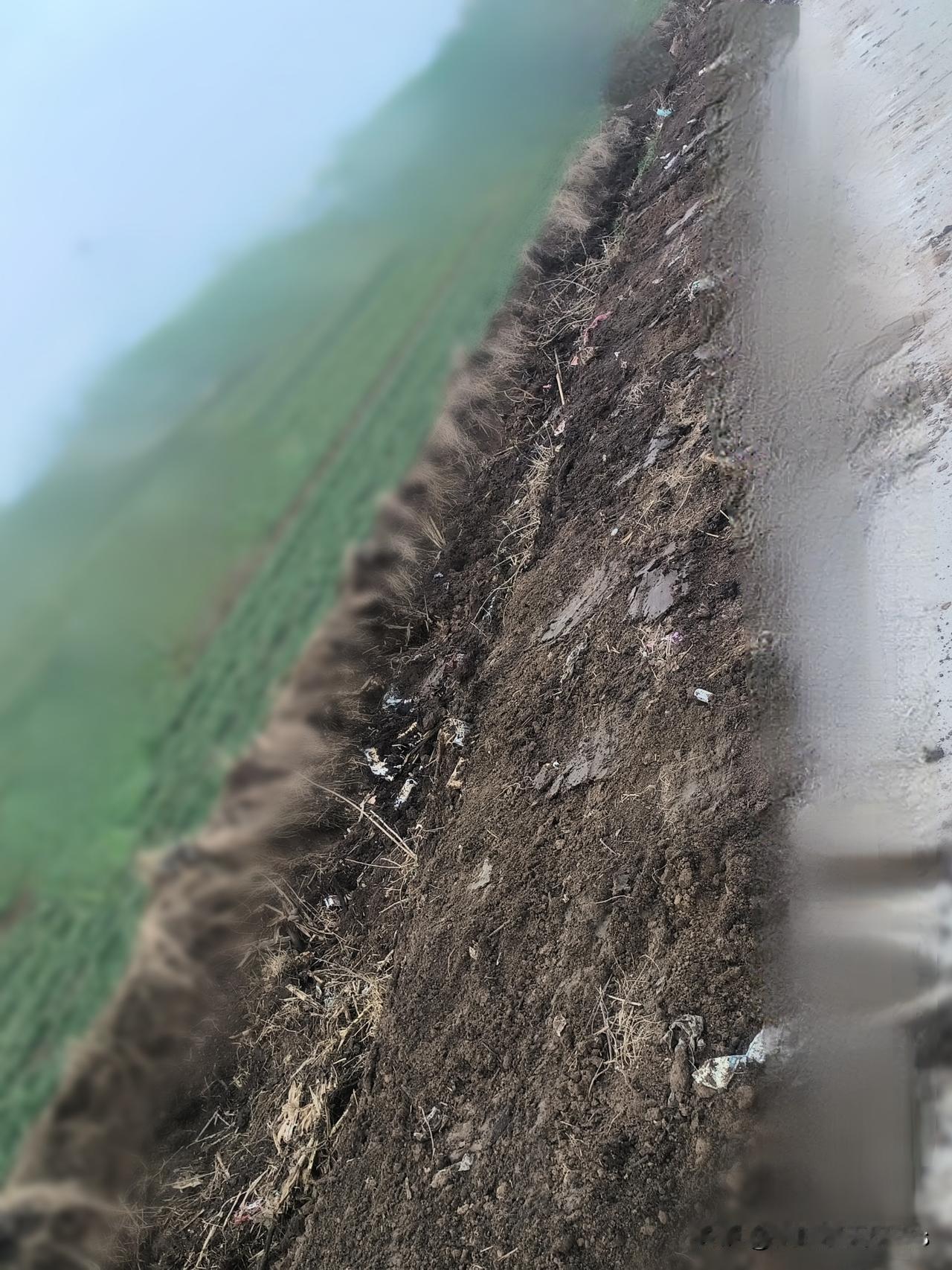 朋友说，为迎检把沟边的草铲了盖上新土：一场心照不宣的“准备”

刚刚，朋友来电话