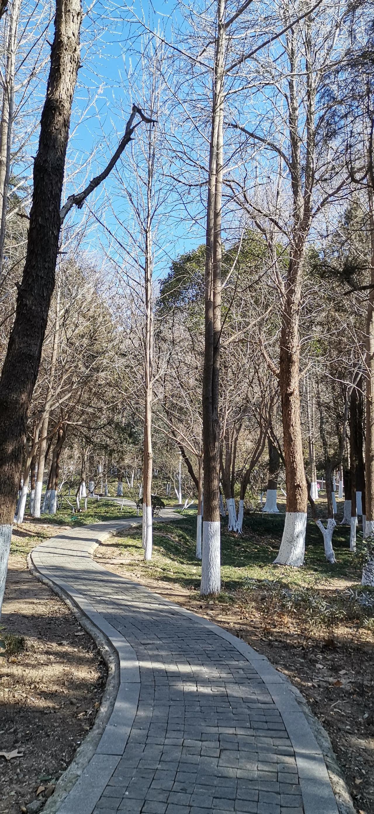 随手拍风景照