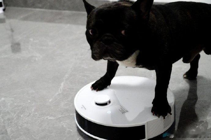 国产扫地机有多强国产品牌的扫地机选择很多，并且已经走向世界，我用了好几款，在扫描