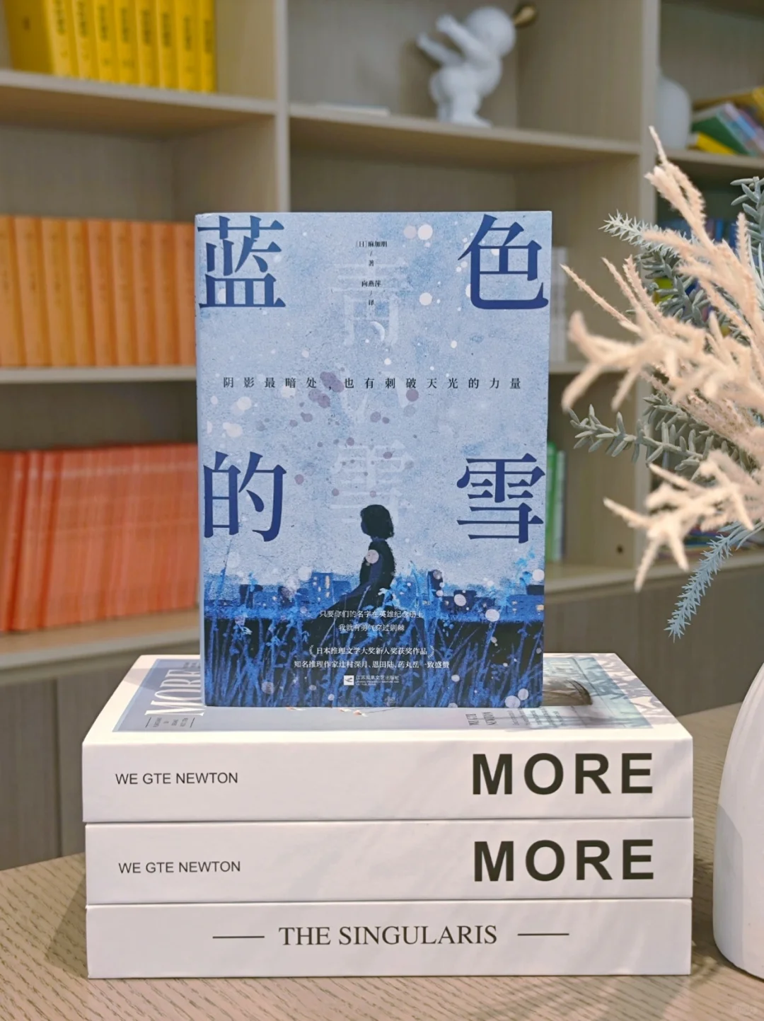 被这本推理小说的封面美哭了，颜值党必入啊