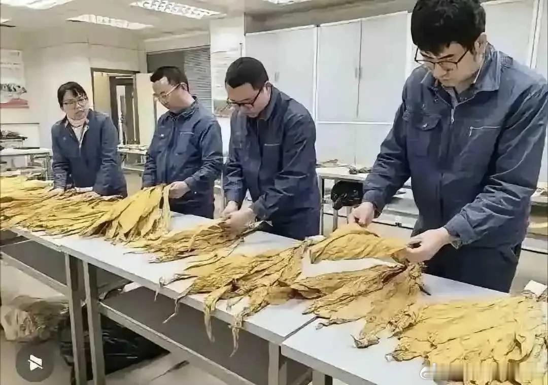 这就是人人挤破头，想去的公司啊！！ 