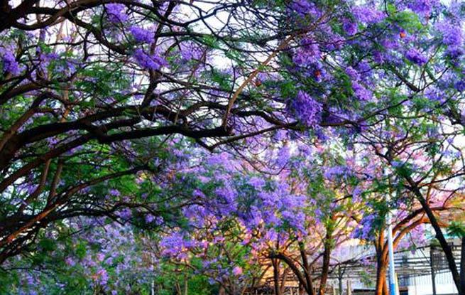 4100关口放量震荡，行情分化时需关注高低切换节奏！
回顾周四的大A市场，三大指