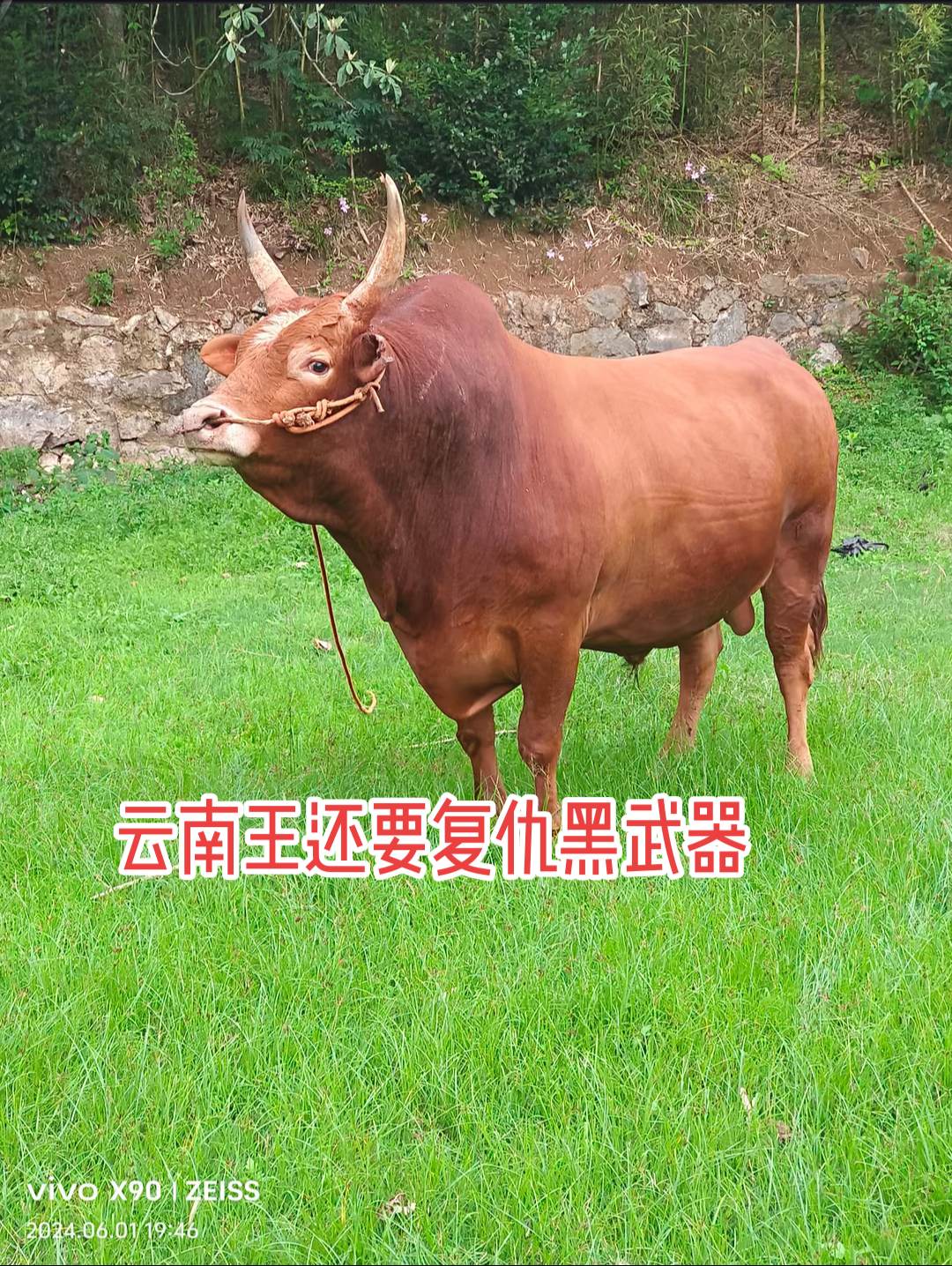 大山里的风景就是这么美