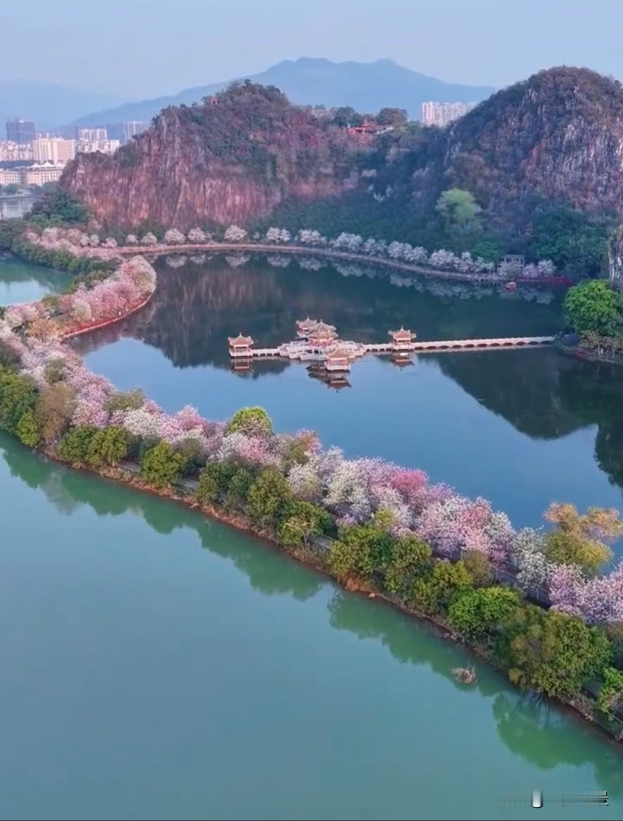 湖光映着花影，风里都是春天的温柔气息。原来慢下来，才是生活的解药。不必追赶别人的