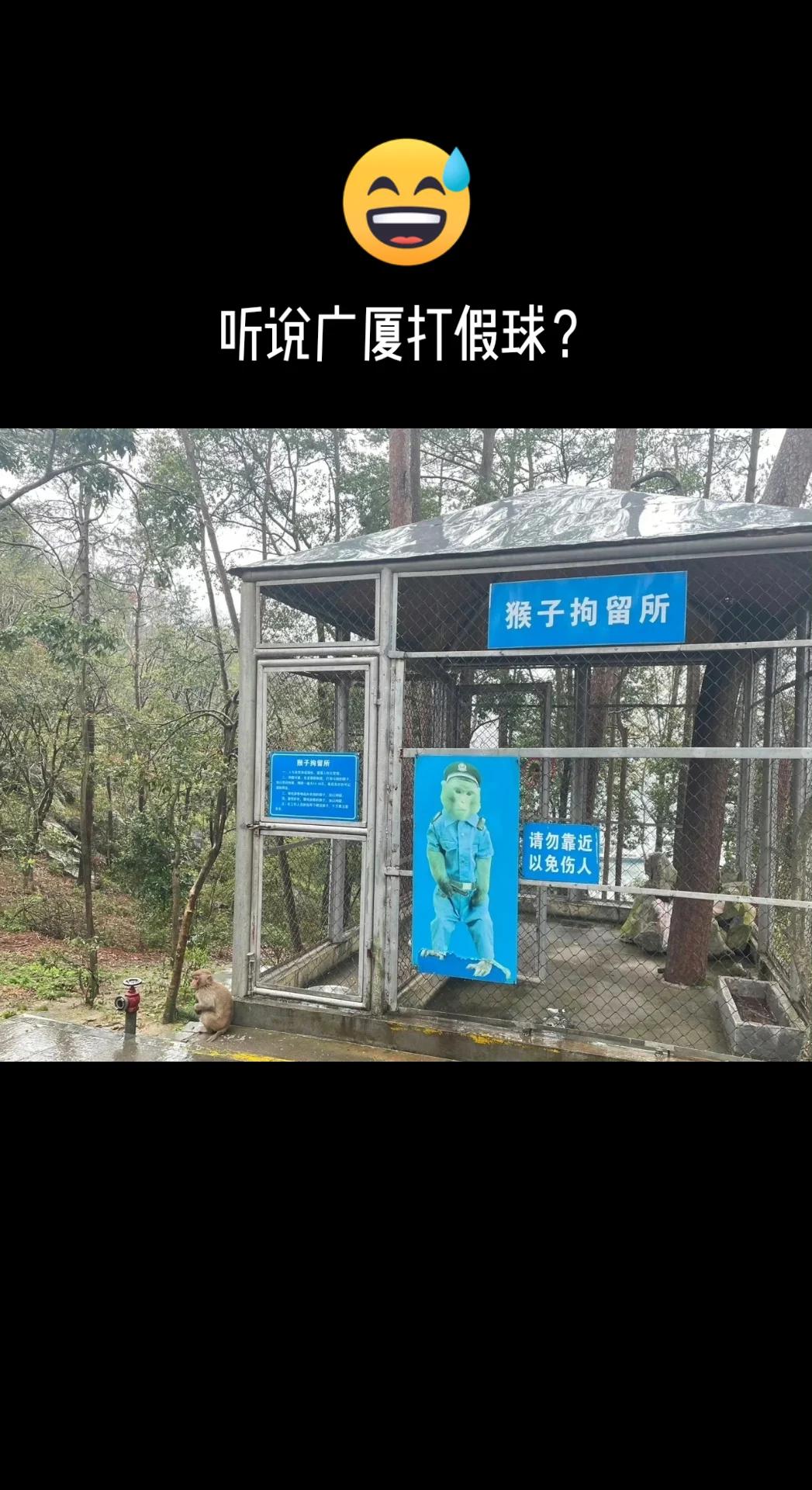 辽宁男篮vs广厦男篮 花果山