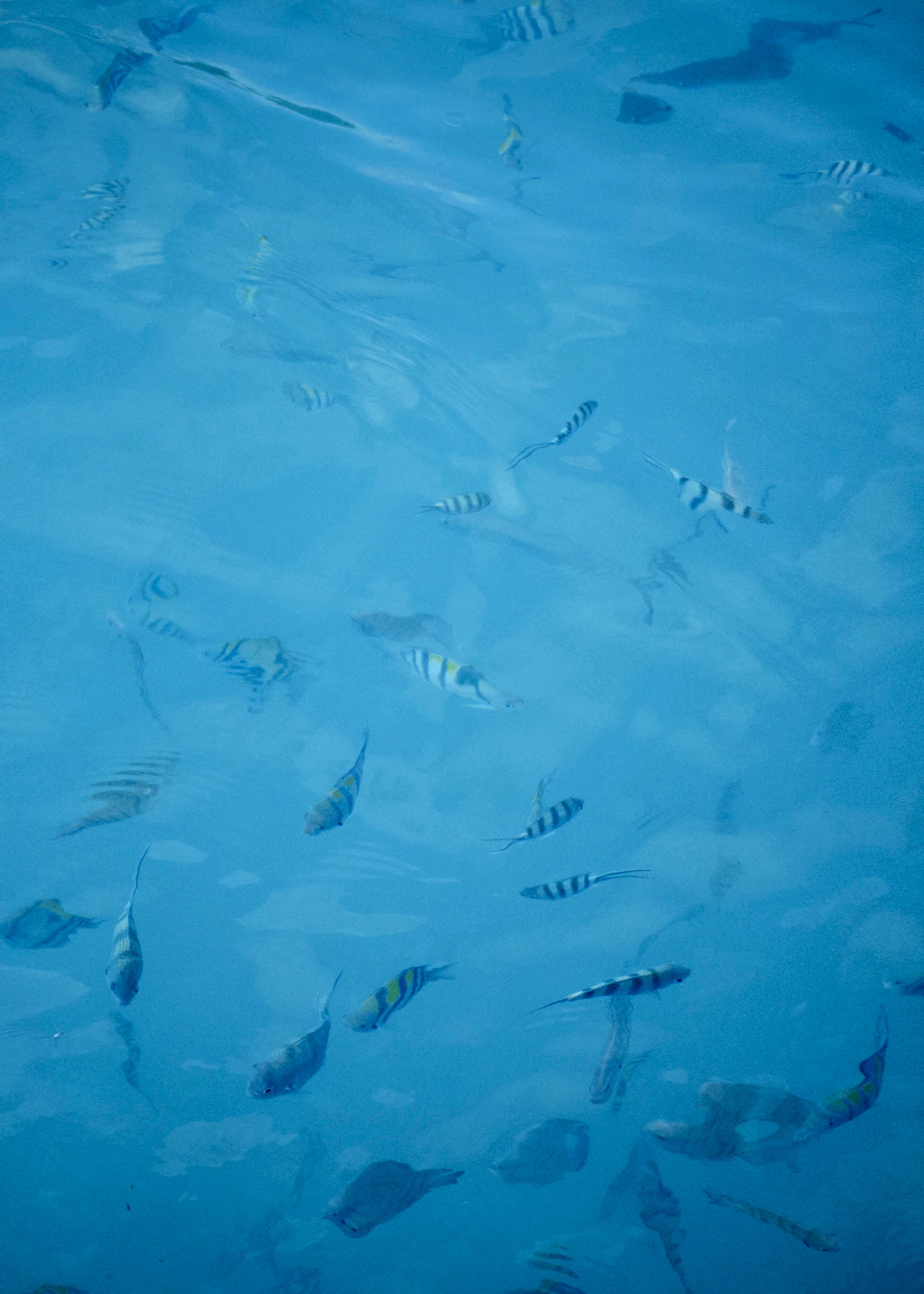 听风、看海，周末愉快☀️🌴🌊评论区抽3位铁铁一人50🧧分享假日好心情～抽奖