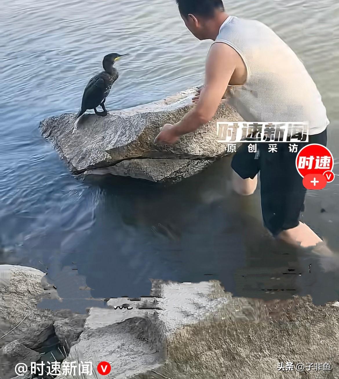 近日，新疆阿勒泰富蕴滨河景区，李先生正在河边钓鱼，偶遇了一只鱼鹰……
     