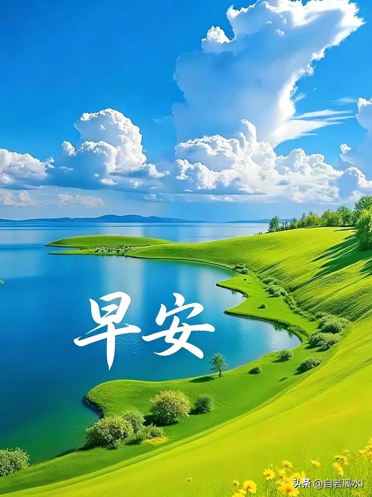 新晨开启，万事可期，愿你平安顺遂，日日舒心。