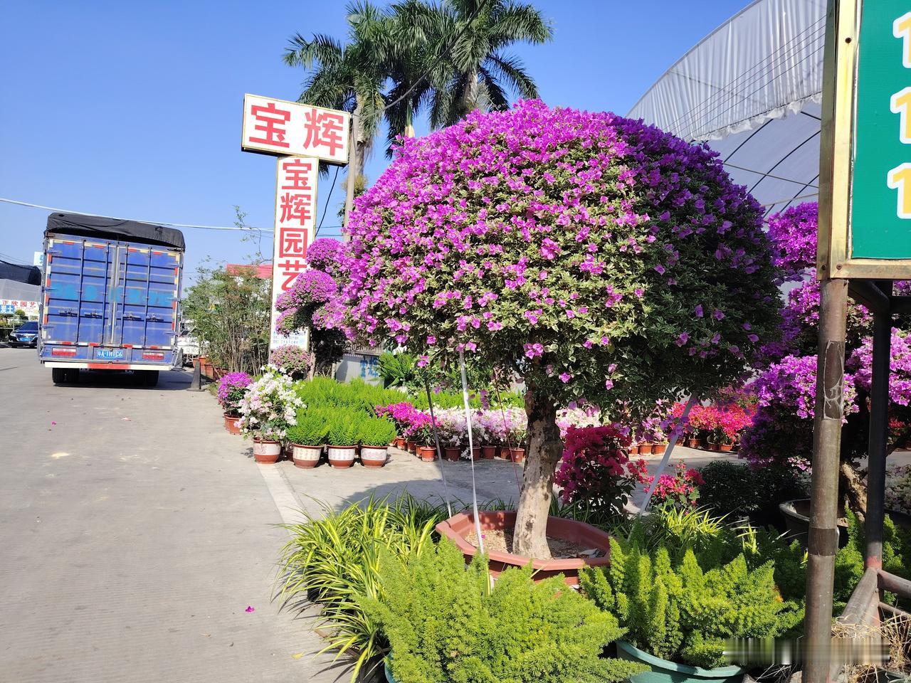 有没发现，
现在很多人都把日子过反了
明明是自己最亲的人，
却把最恶的语言留给了