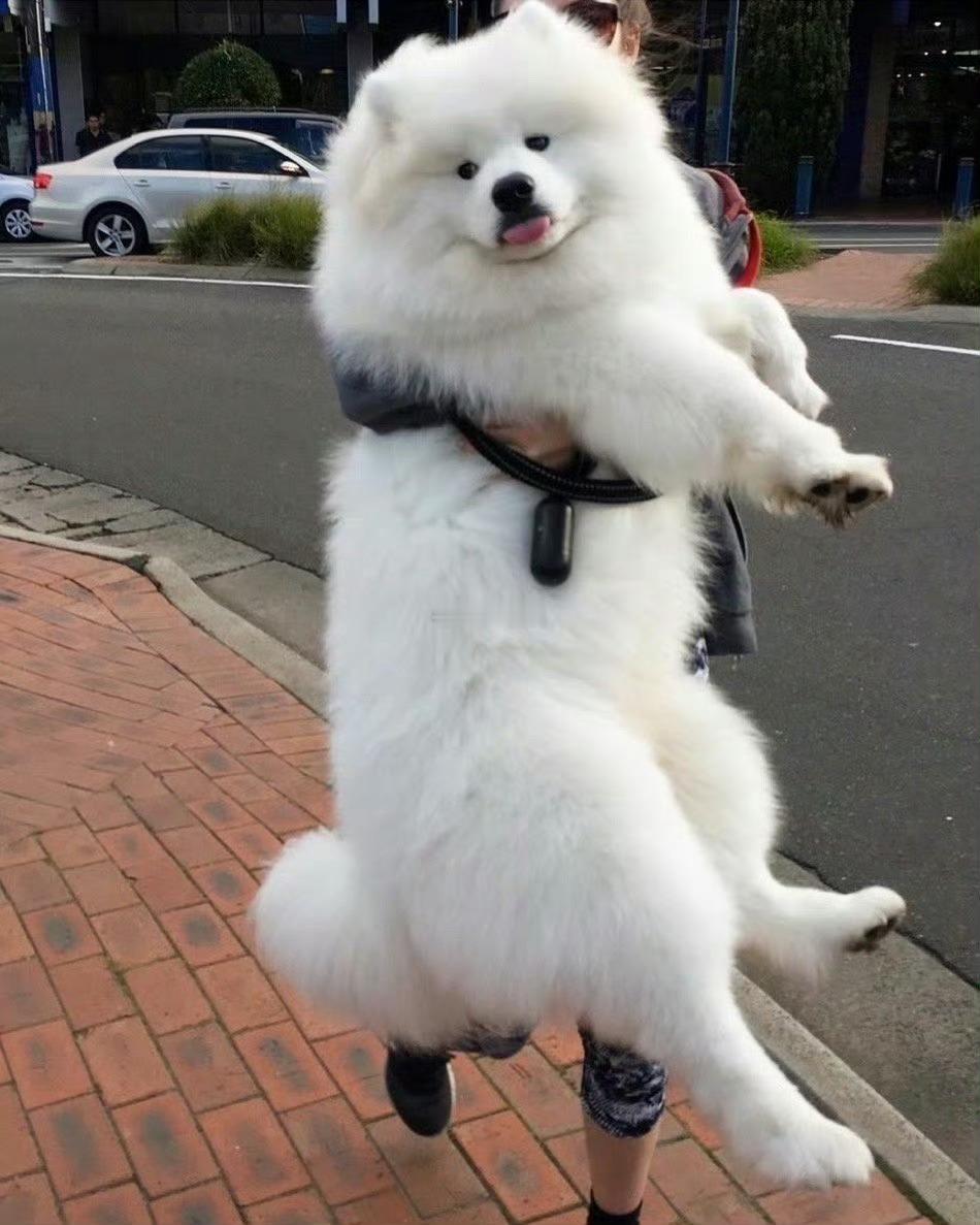 两天内，你最期待的事会有好的结果！ 