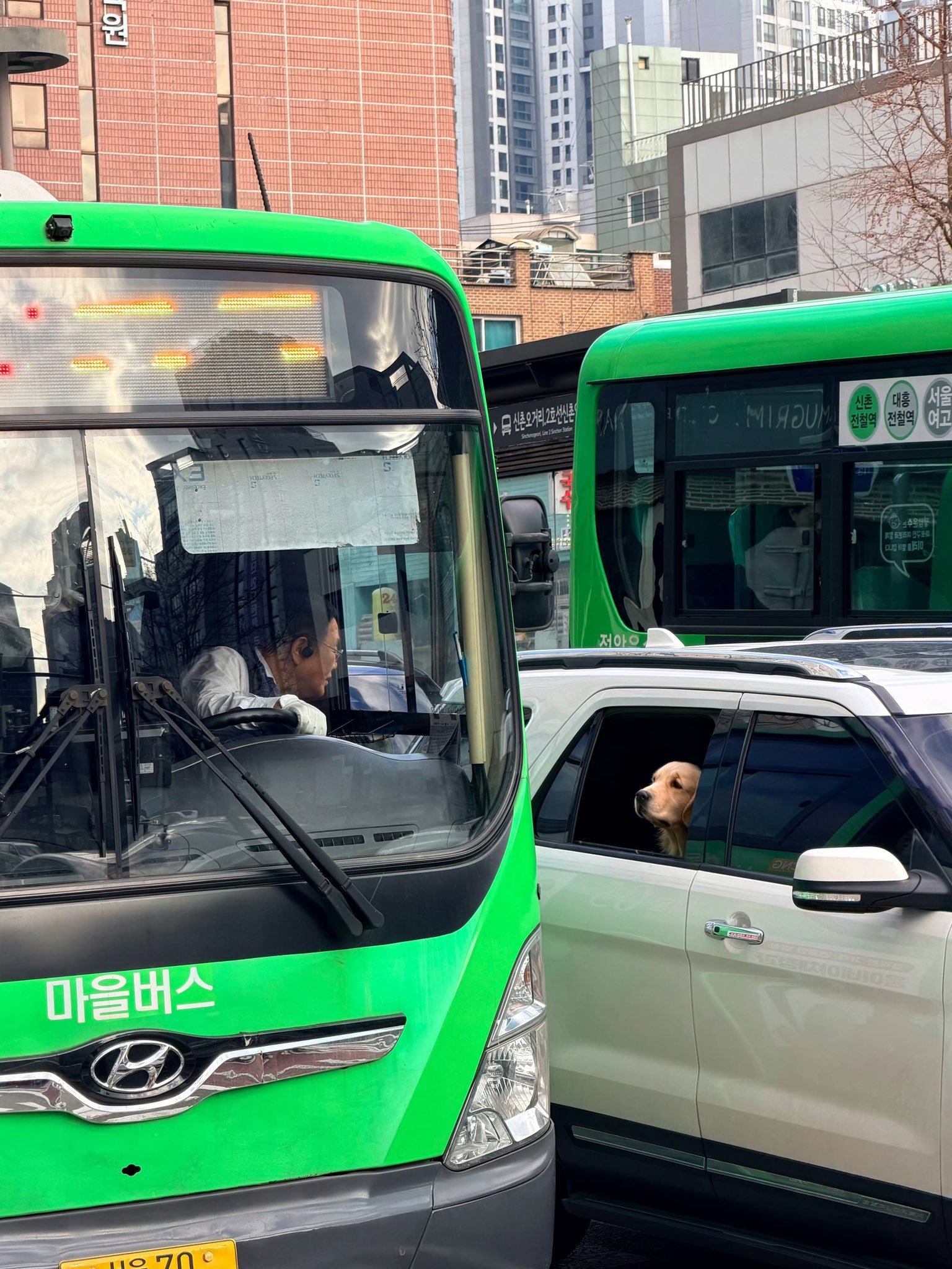 热帖，某位中国演员去韩国旅行后上传的照片 