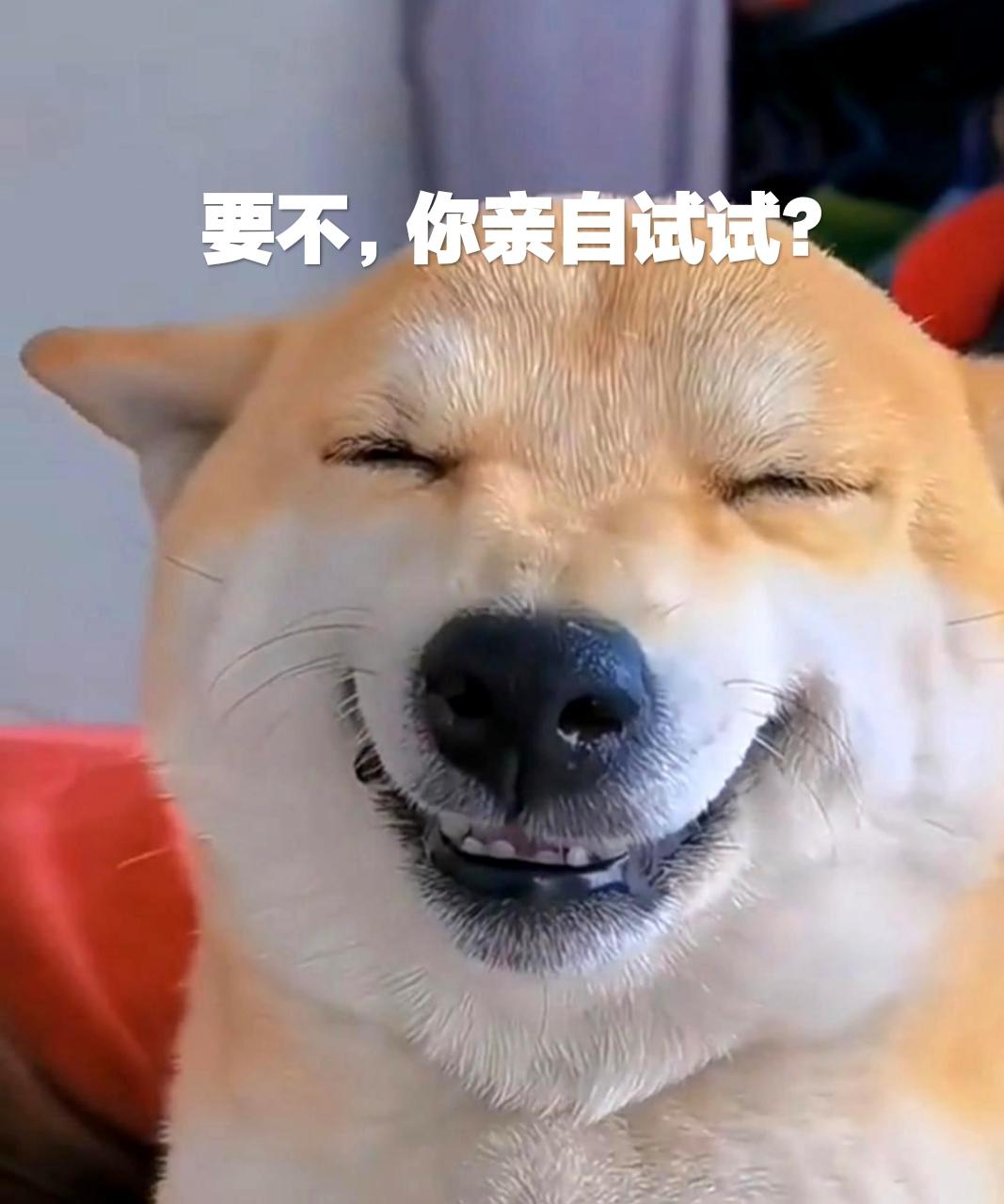 记得谁说过：
谁的婚姻不是一场血雨腥风的战争？
有的人在这场战争中牺牲掉了自己；