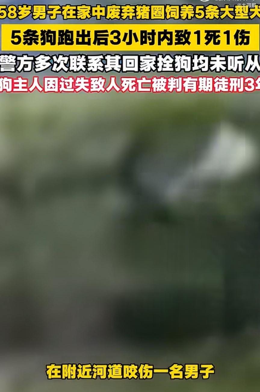 58 岁的马某养了8条大型犬还不栓绳，不看护好，让其中5条跑出去咬死了姜某

虽