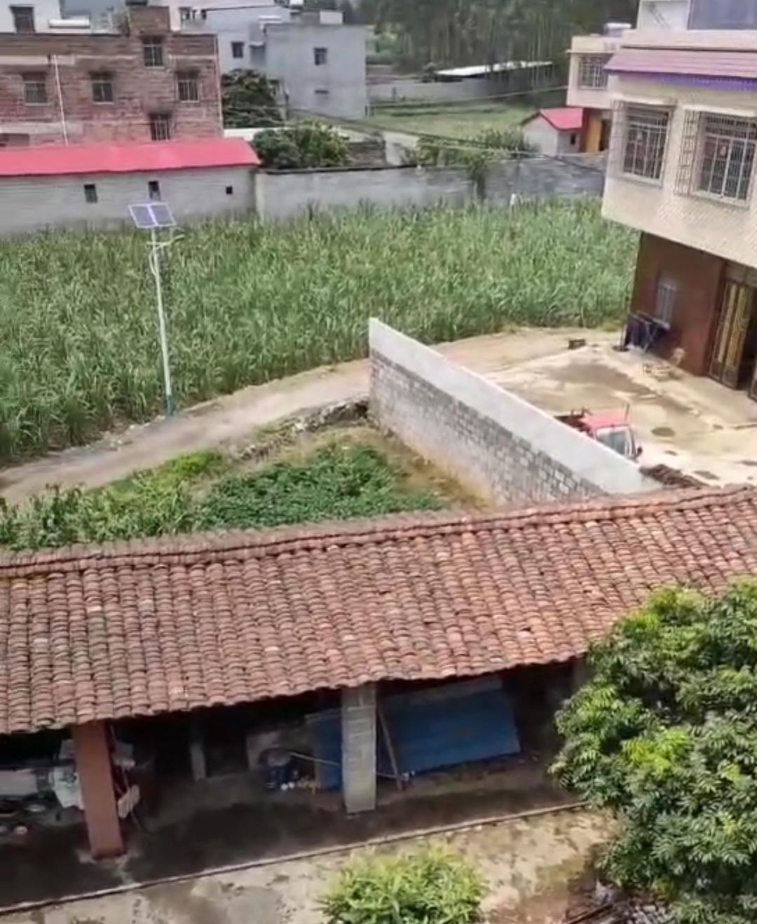 #男子改装射钉枪射杀邻居案二审开庭#【二审择期宣判！男子射杀邻居夫妇，只因幻想对