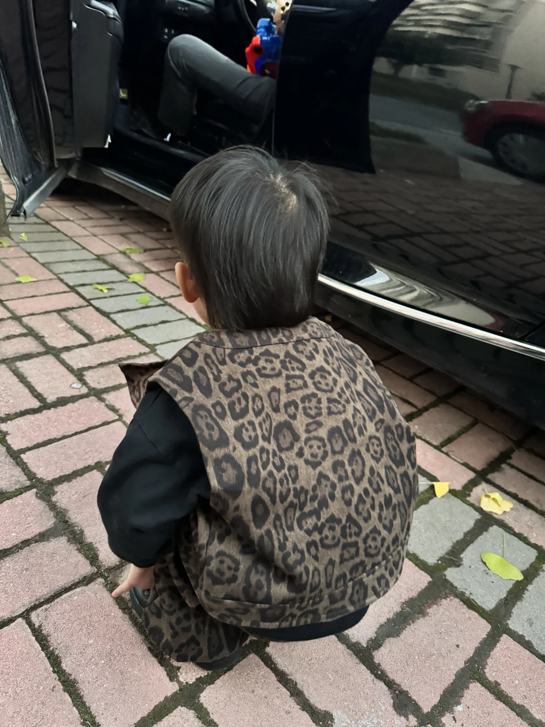 他在干嘛拉臭臭吗🤣