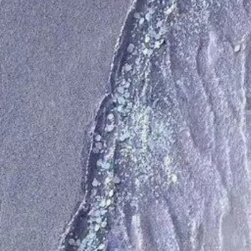 每日一善[超话]✨️阳光信用 ✨️每日一善 清晨推开窗时，风里藏着新一天的温柔。