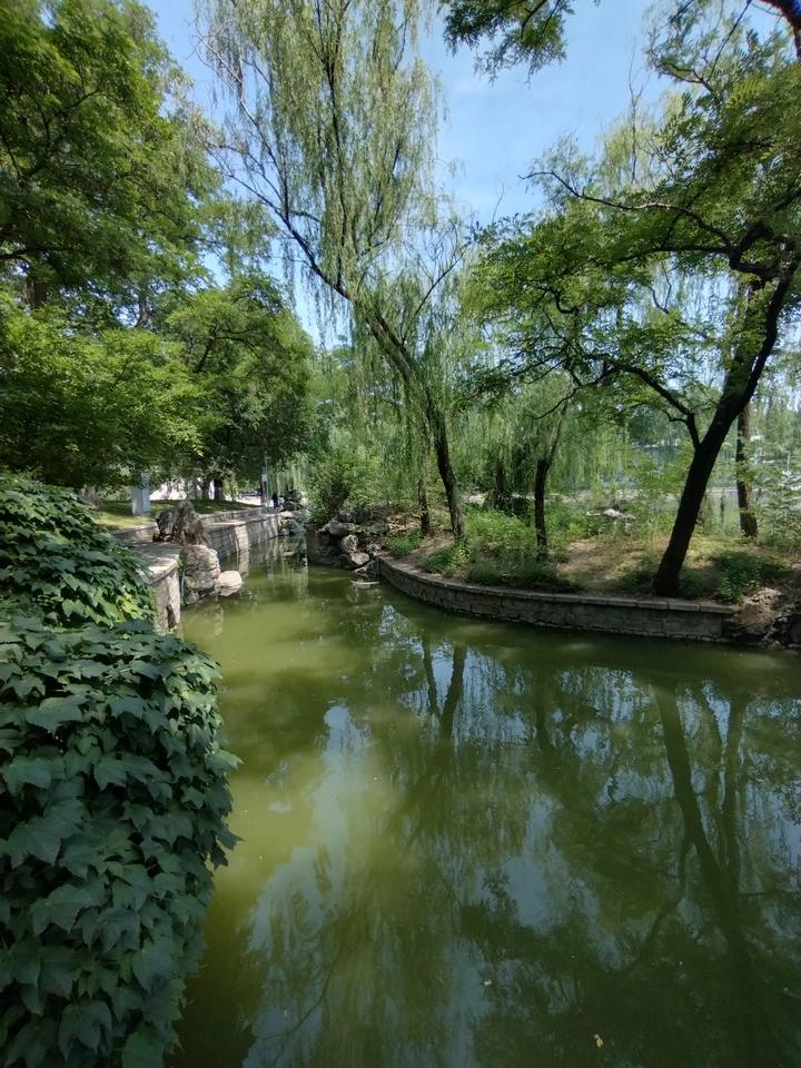 临江仙（贺铸体）   八一来临有思
八一来临思战友，
凭栏望尽西阳。
几多往事内