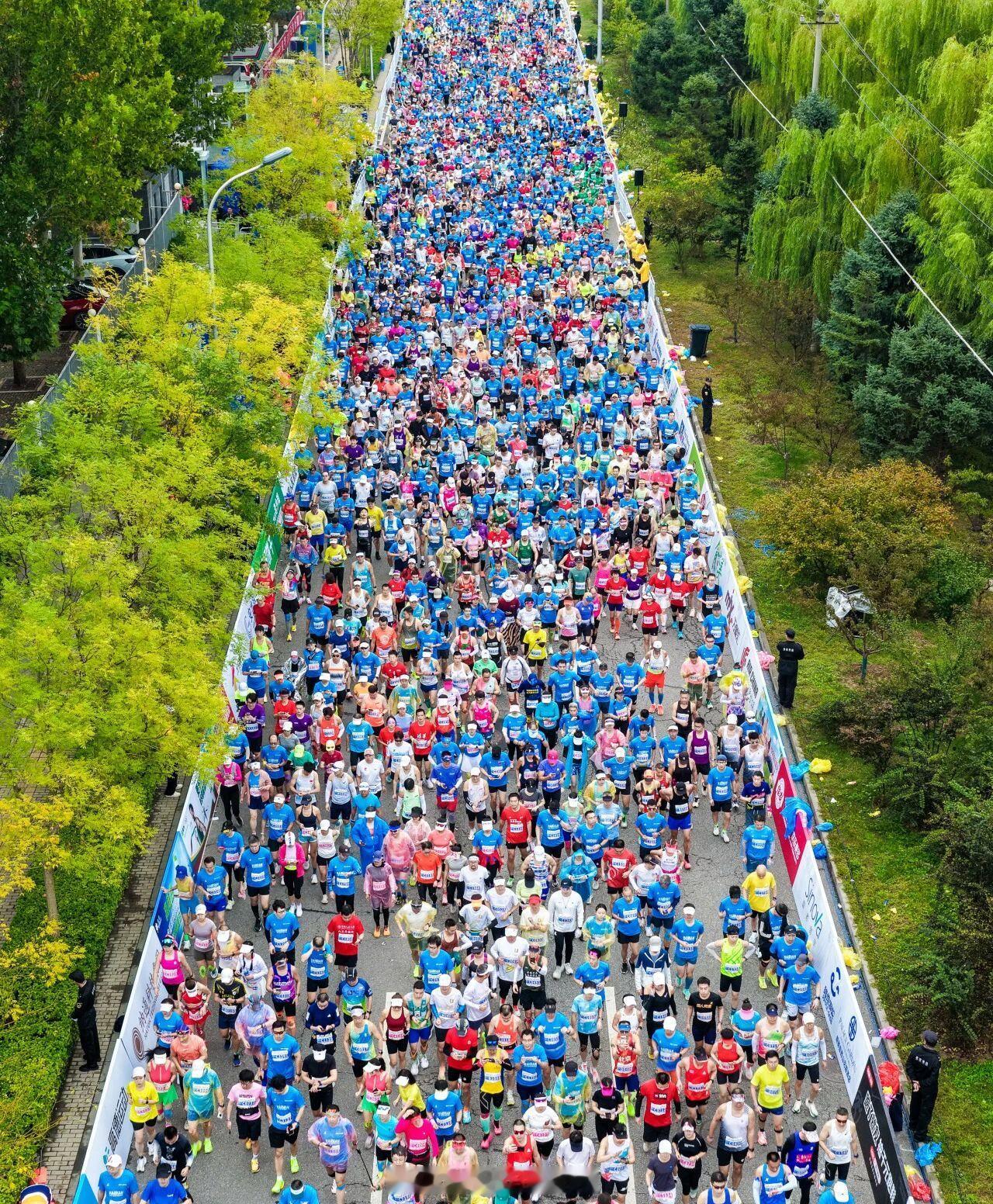 海淀马拉松 即将开启报名报名开启时间：7月15日 16:00比赛日期：2026年