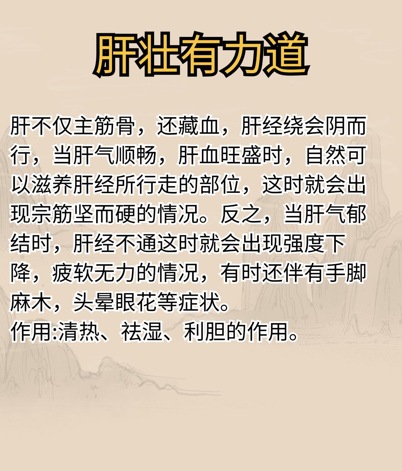 肝壮有力道，脾壮有精力，肾壮有时间#中医##养生##科普#