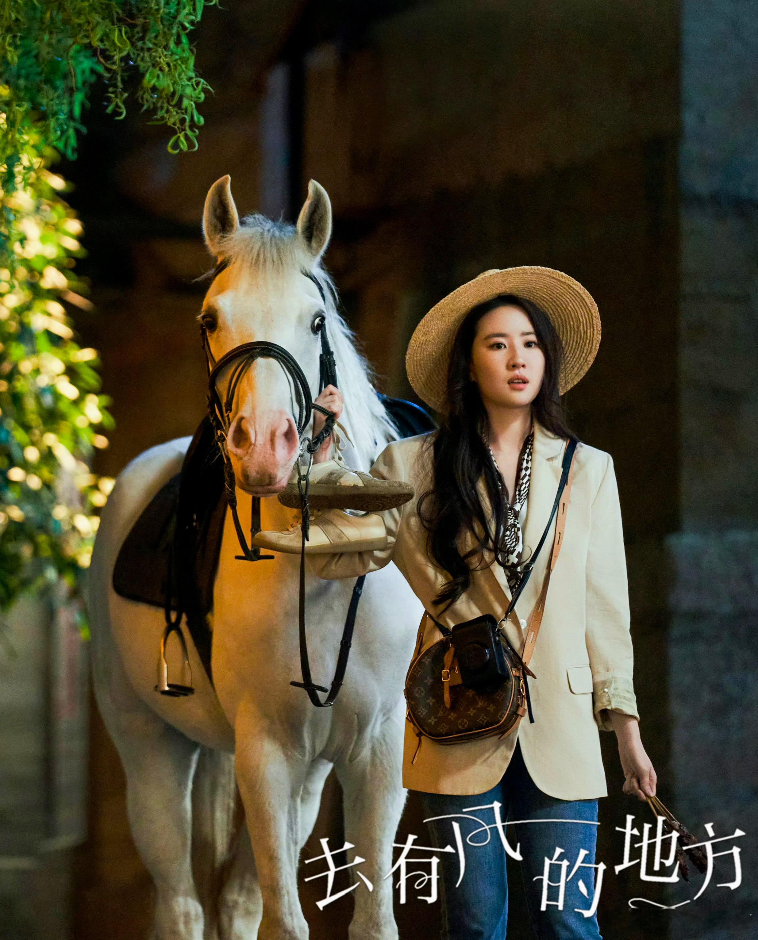 刘亦菲《去有风的地方》登上湖师大考研真题～浅析国产田园题材电视剧的叙事与视听——