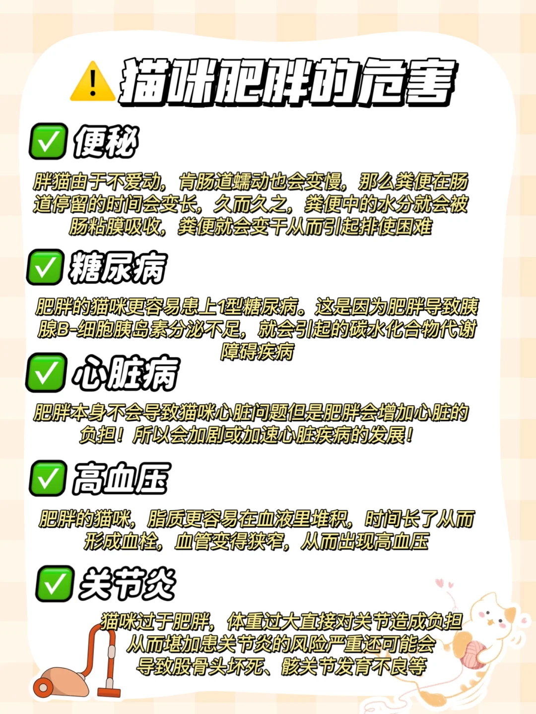新手养猫误区⚠️｜猫不是越胖越好！