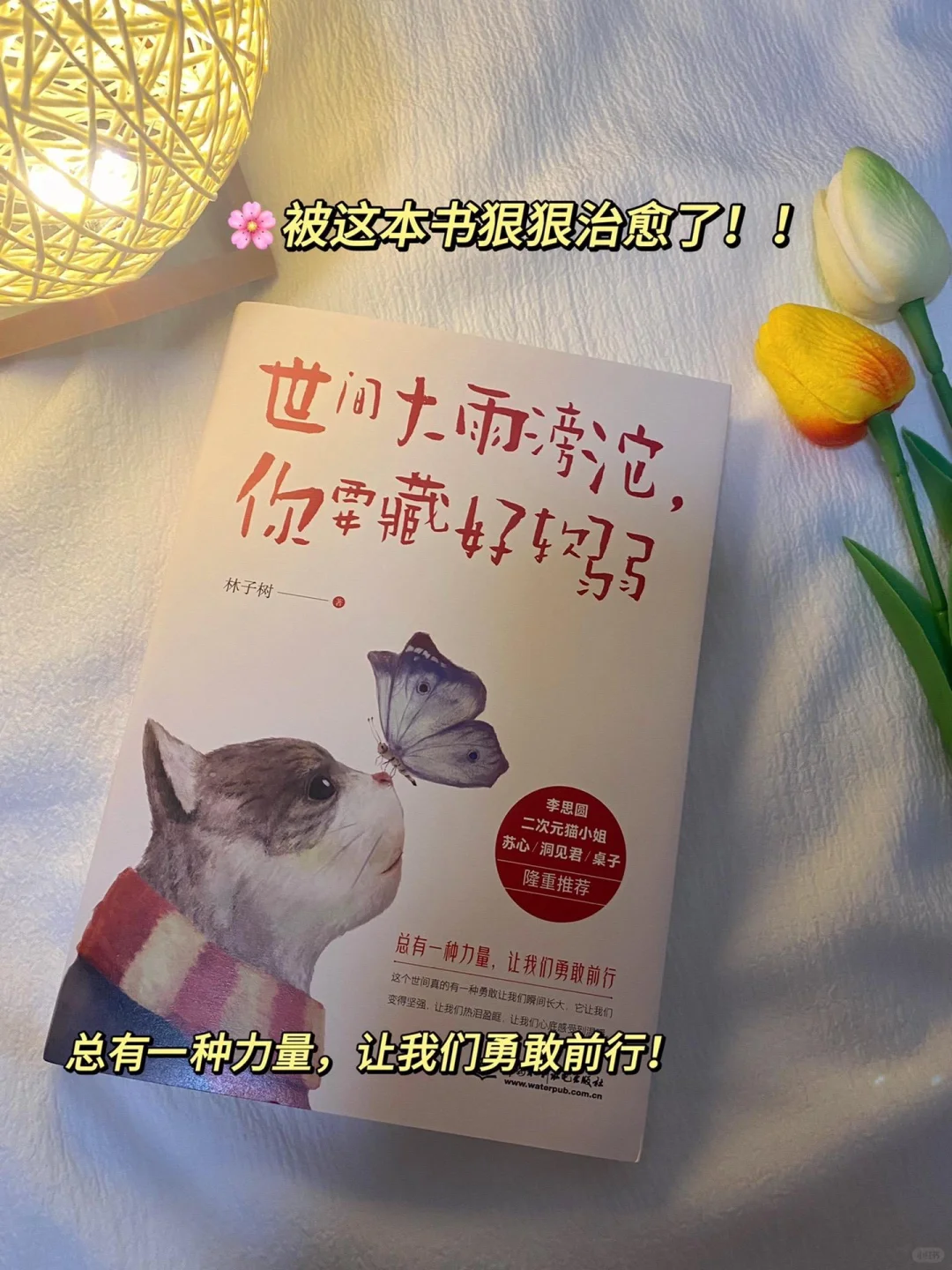 《世间大雨滂沱，你要藏好软弱》