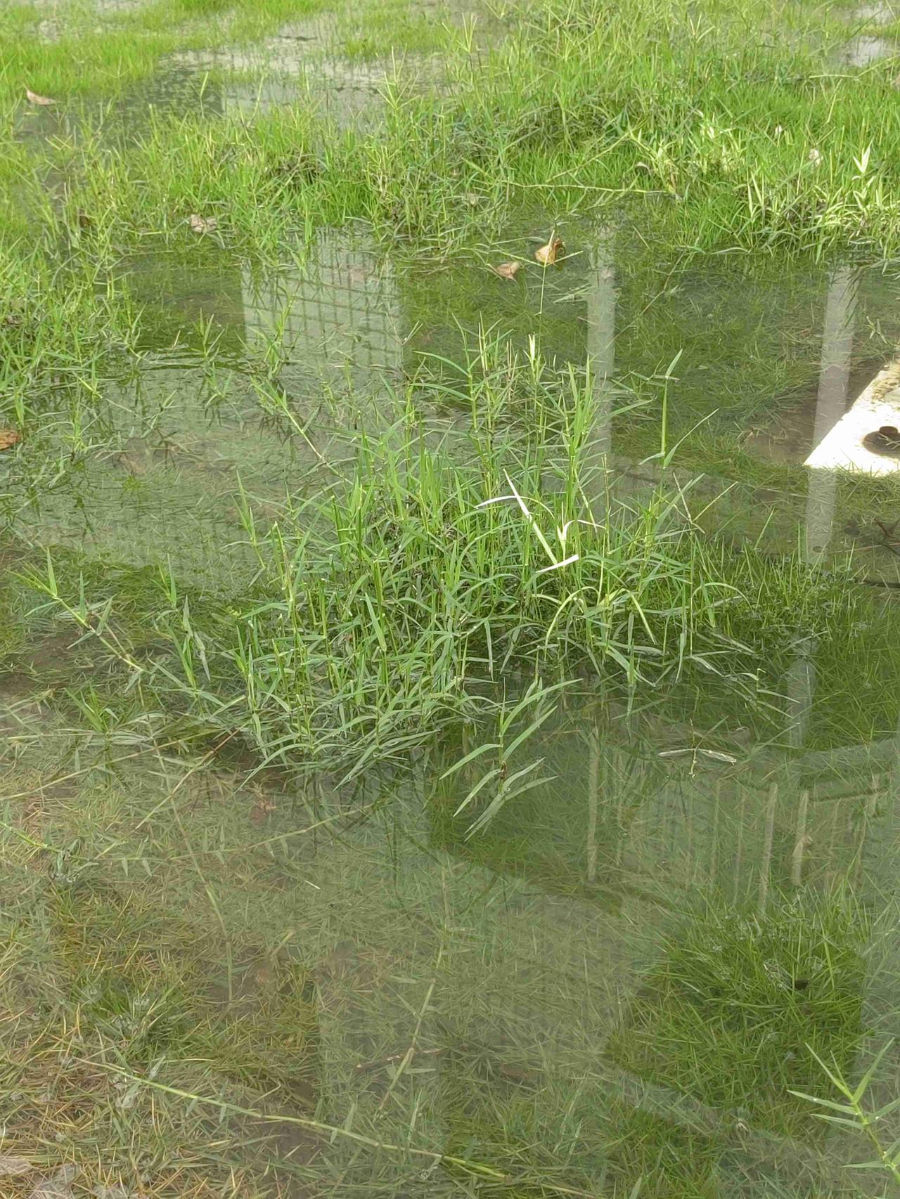 我的今日状态：🥲强颜欢笑
我这里的天气：🌧下雨