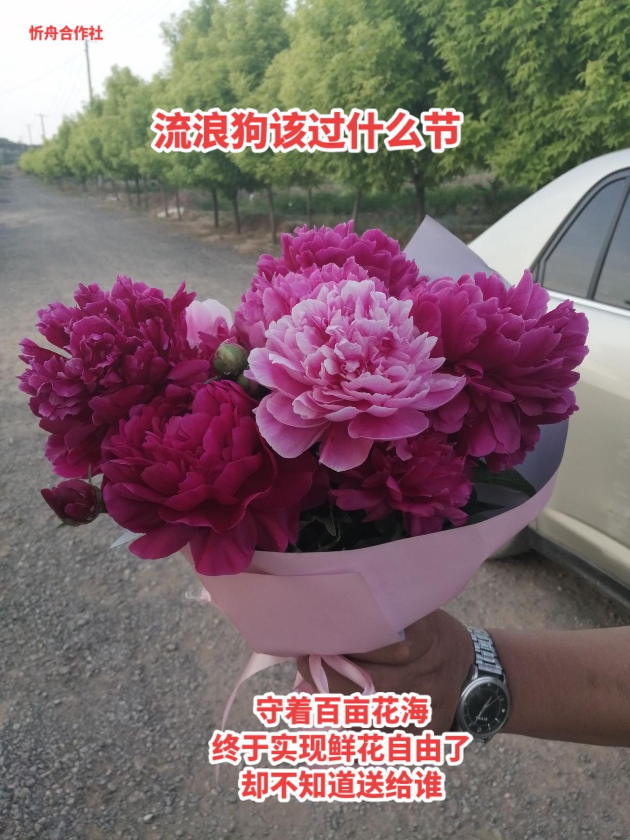 以前总以为，一辈子很长，向家人、向亲朋表达爱的机会，还有很多，自己现在经济不允许