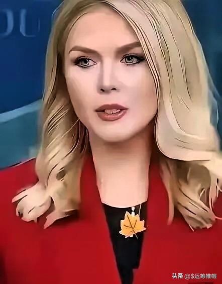 美国白宫宣布
2026年3月31日，美国白宫新闻秘书莱维特宣布了一个重要消息，她