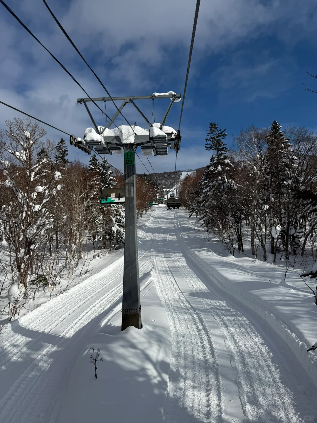 北海道没有雪的日子喜乐乐给了我惊喜