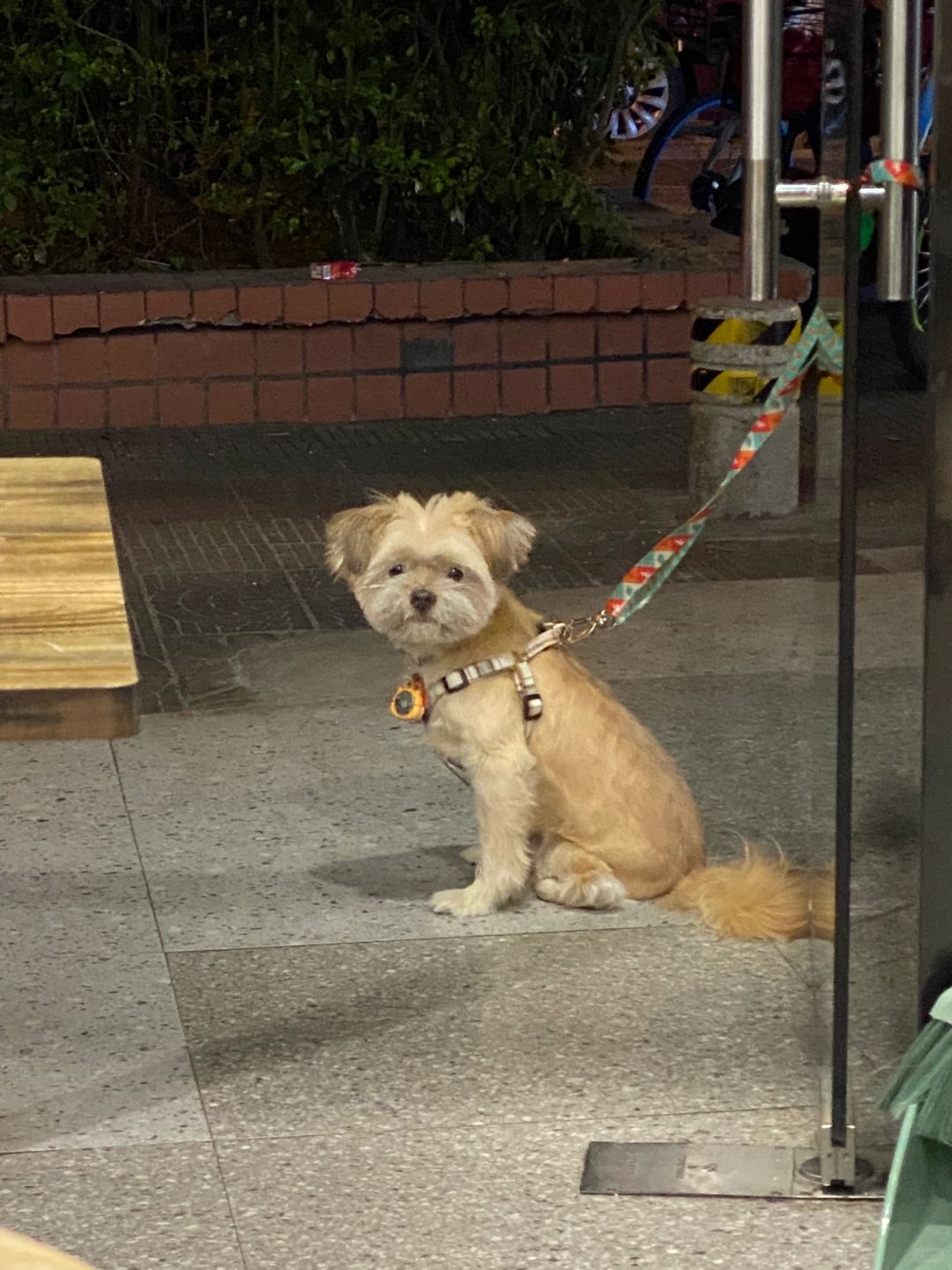 等吃饭