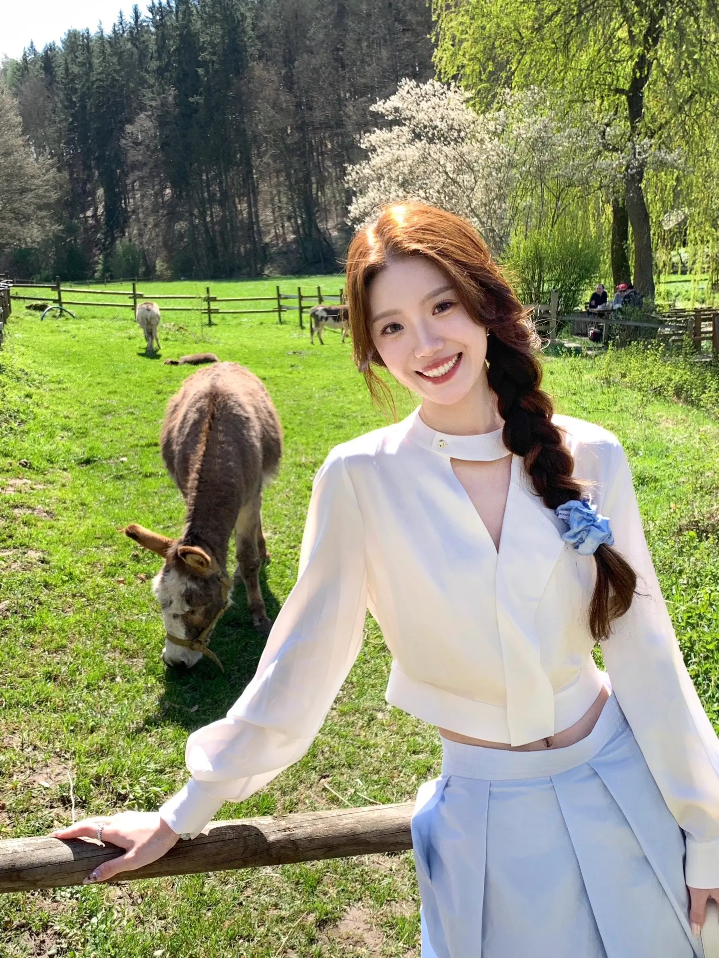 小动物和大自然永远能治愈我！！🌳🫏。