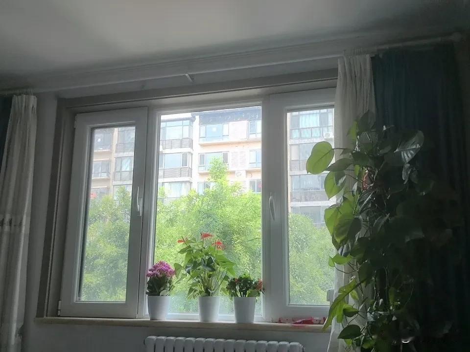 自从去年修剪了楼前的大树，房间里显得亮堂多了。
