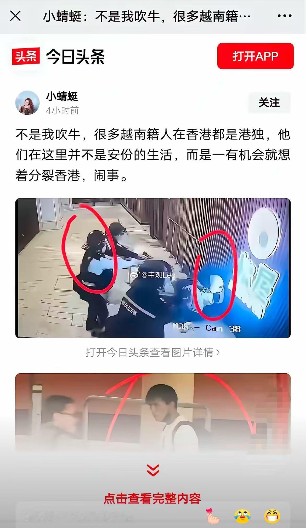 不是我吹牛，许多越南籍人在香港都是港独，他们在这里并不是安份的生活，反而是一有机