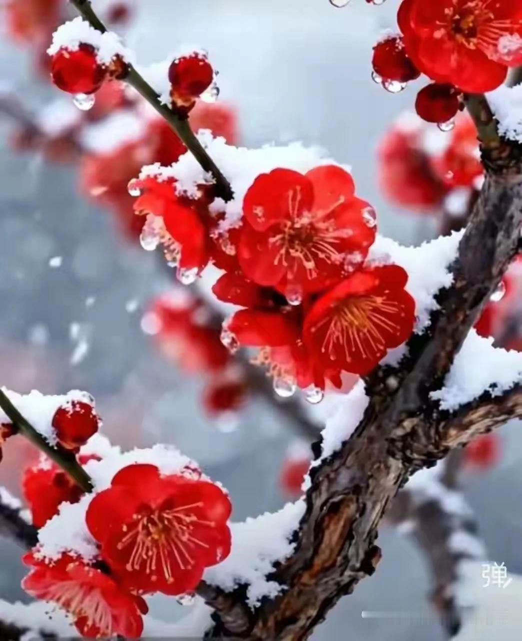 防守时团队协作可有效阻断对手进攻，减少失分可能，克敌致胜！
[作揖][心][心]