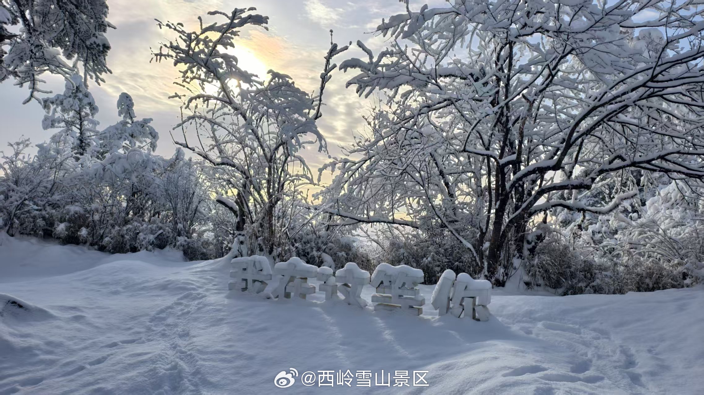 这片雪景美得让人心动，仿佛置身童话世界❄️☃️ ​​​