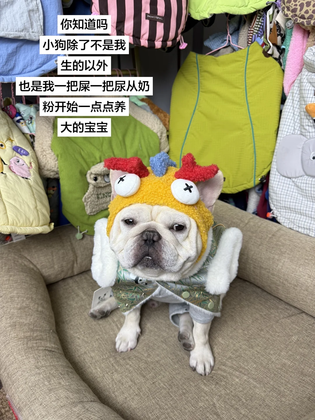 怎么不算我的孩子