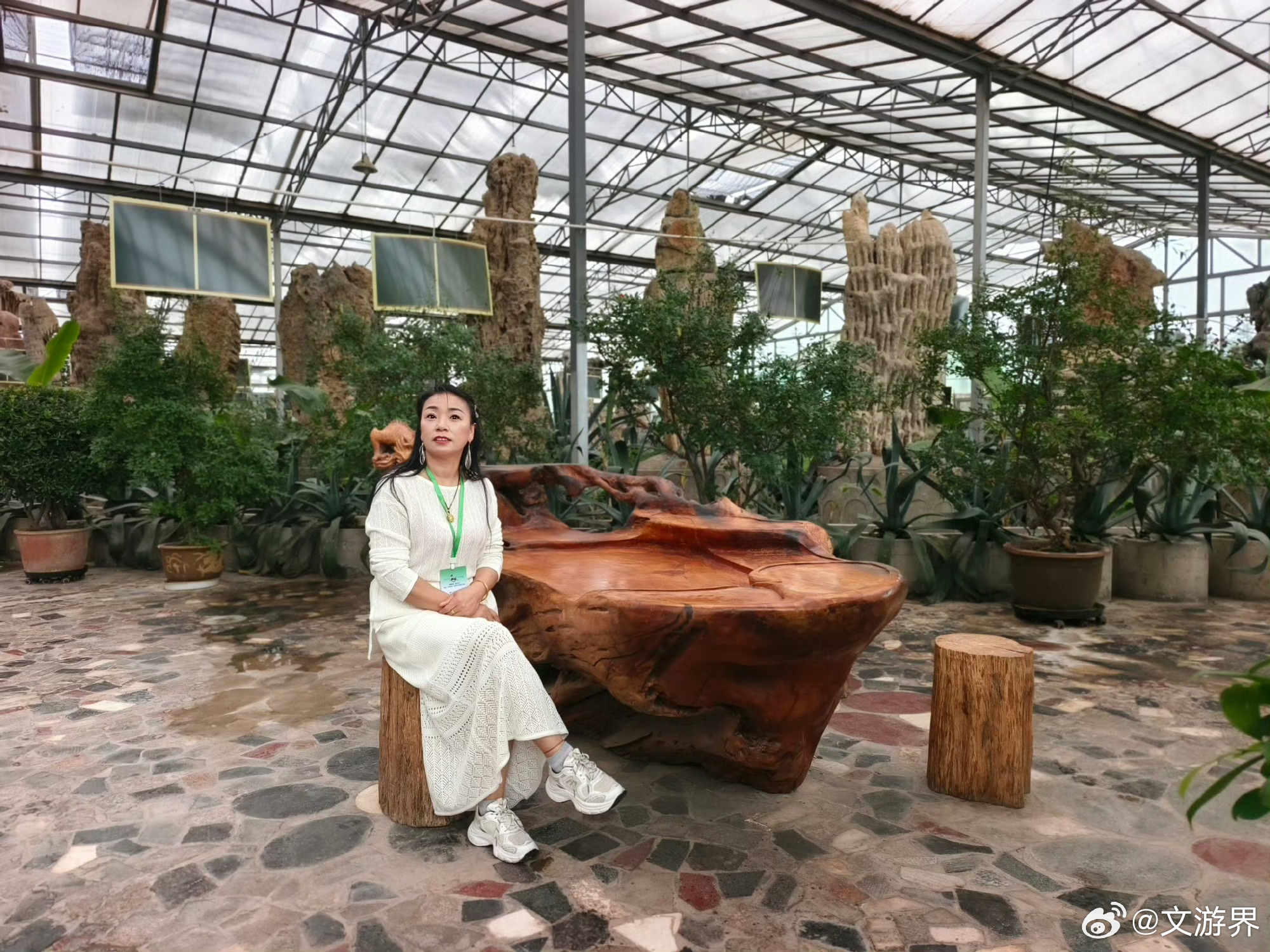 武威天乙生态园迎百家媒体探访 【文旅新地标打卡天乙园】小雨淅沥，挡不住百家媒体与