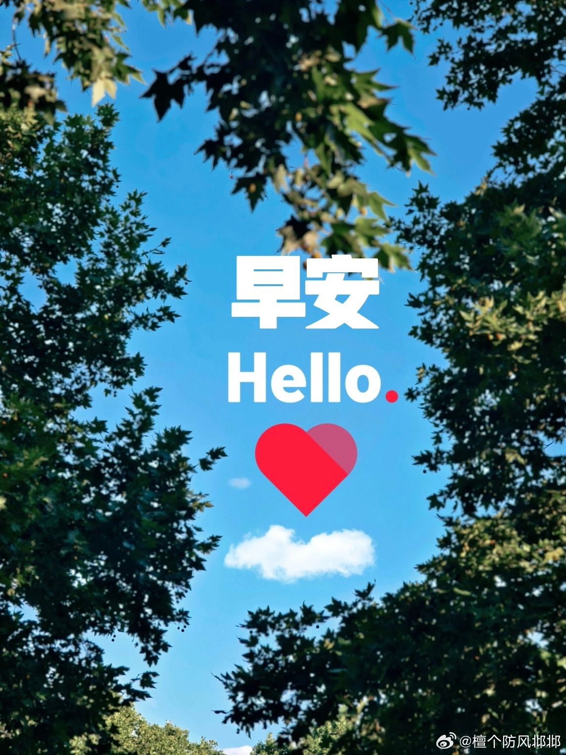早安 偷懒不运动了 昨天快12点才睡 失眠了