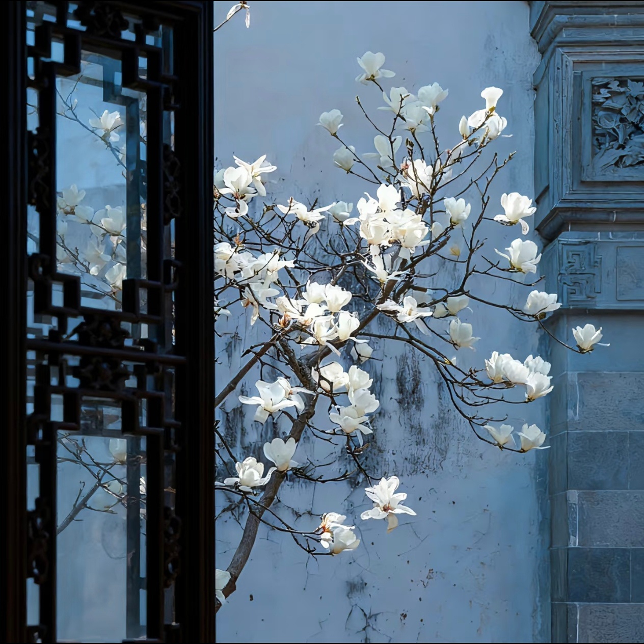 WeChat｜背景图分享｜风景 