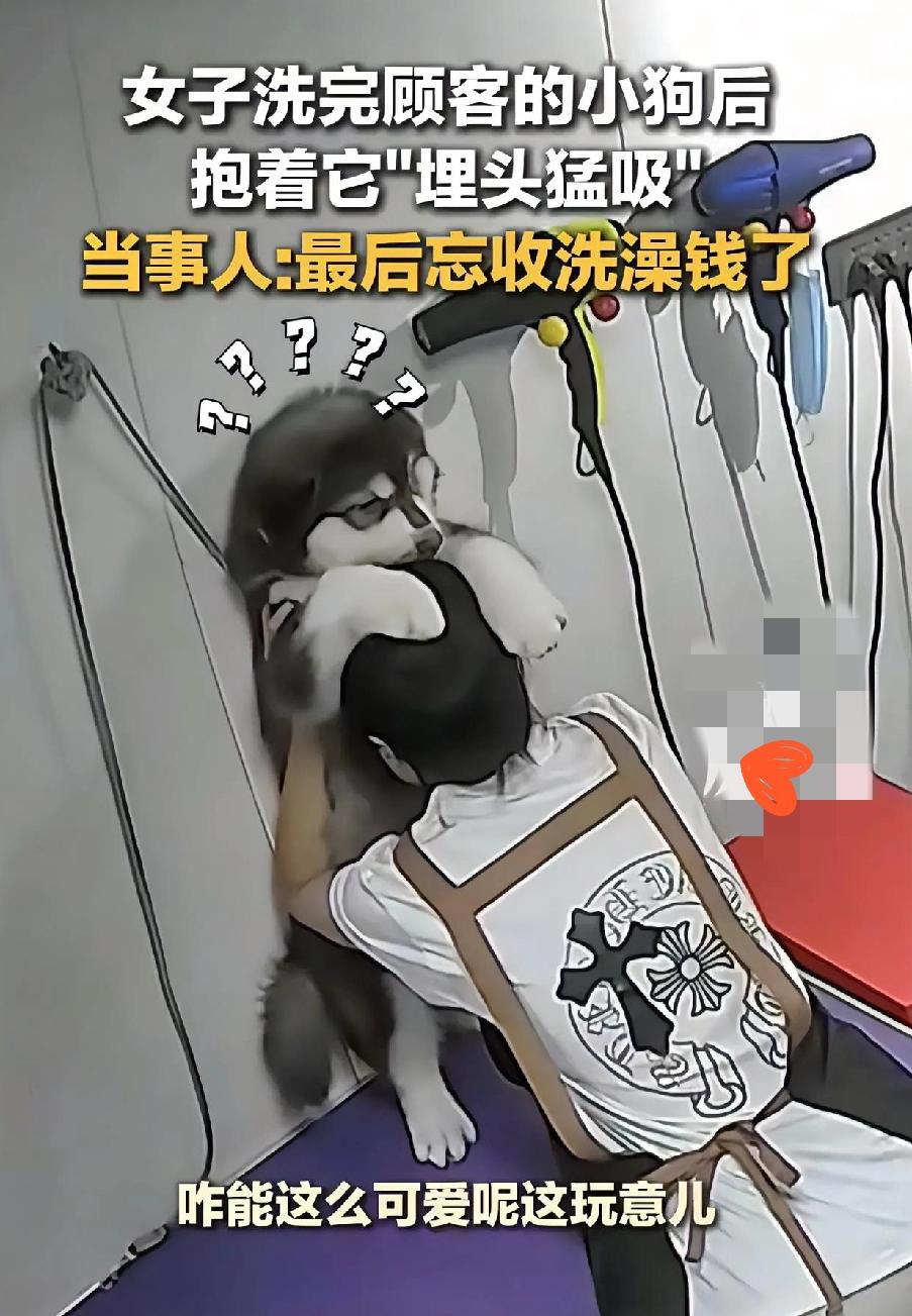 “绷不住了！”

吉林这姑娘给顾客的小狗洗完澡，抱着就“埋头猛吸”，

结果光顾