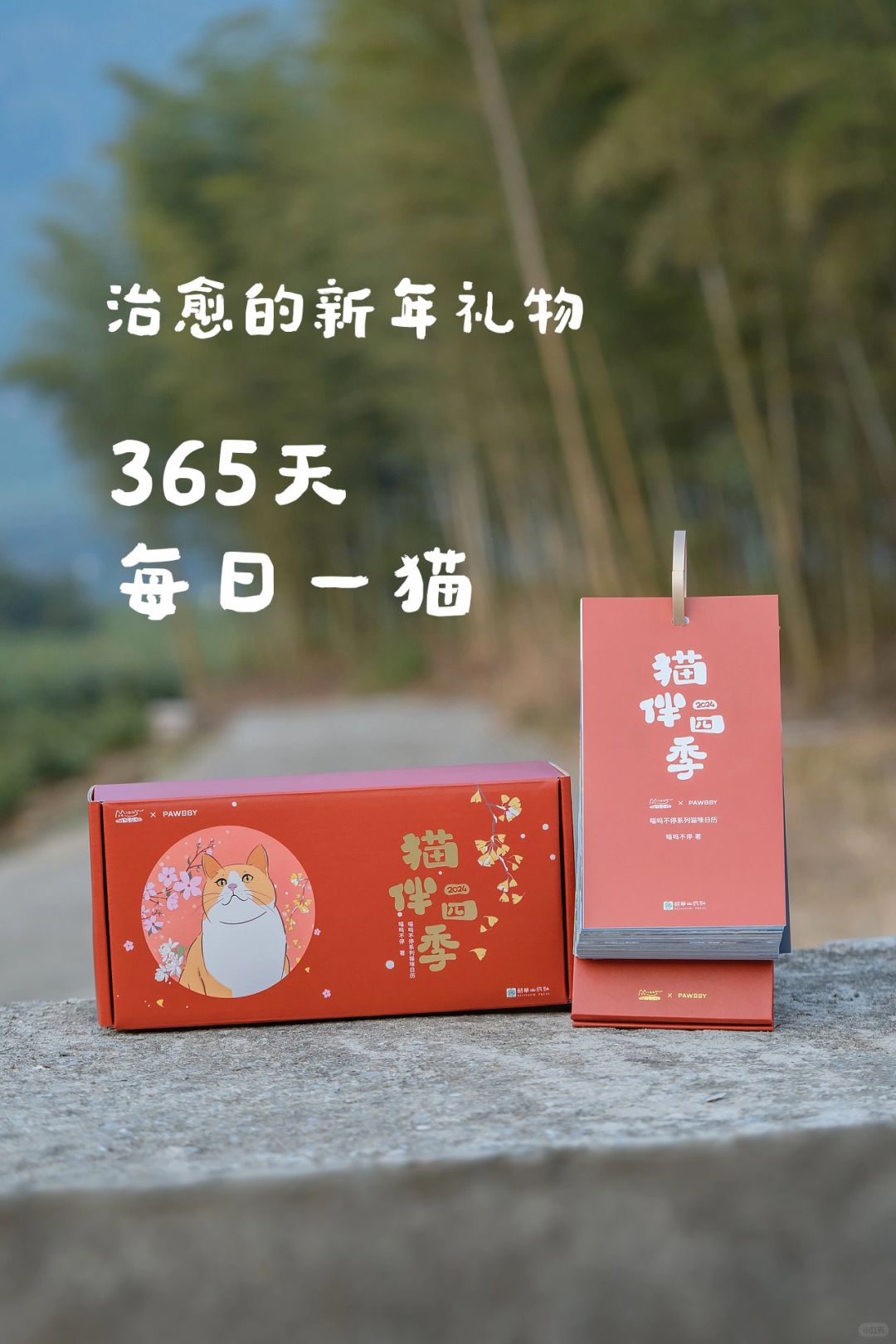 365天每日一猫，自荐我的新年猫历