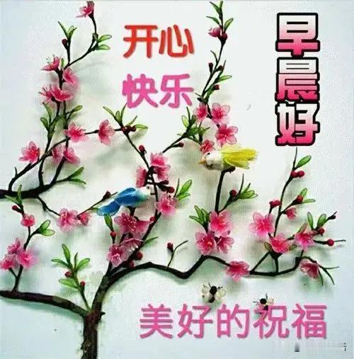 早上好，愿大家好运连连，幸福甜甜[送自己一朵花][送自己一朵花][送自己一朵花]