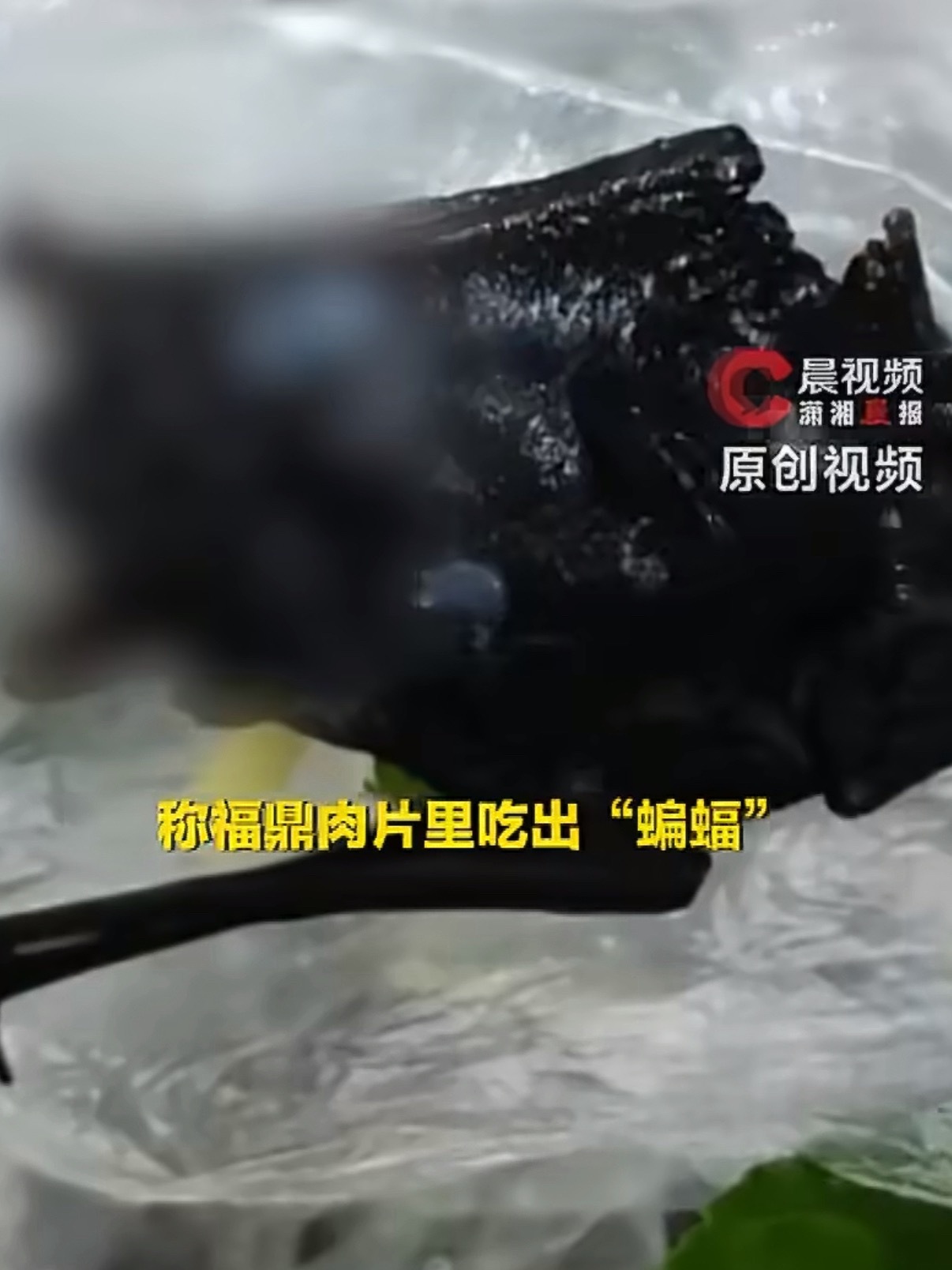 家属称肉片里吃出蝙蝠害儿子呕吐这么大的蝙蝠，工作人员在出餐的时候不可能看不到吧，