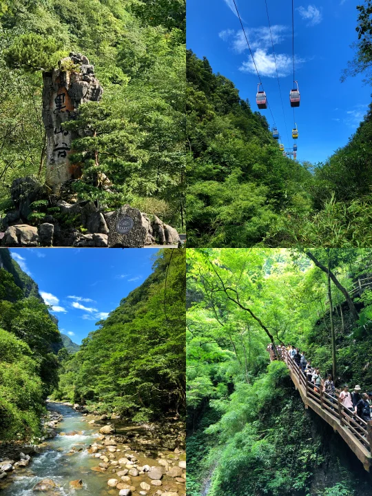 🌟重庆出发！黑山谷一日游超全攻略‼️